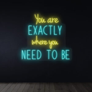 You Exactly Where You Need To Be Iceblue Color